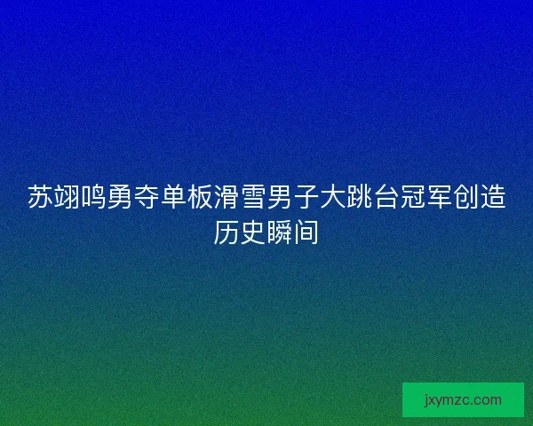 苏翊鸣勇夺单板滑雪男子大跳台冠军创造历史瞬间